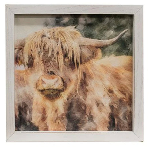 Shaggy Steer Framed Portrait